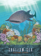 Shallow Sea: Zeldzame Vissen uitbreiding (NL)