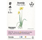 Reforest: Oerbos (incl. promo) - Kaartspel (NL)