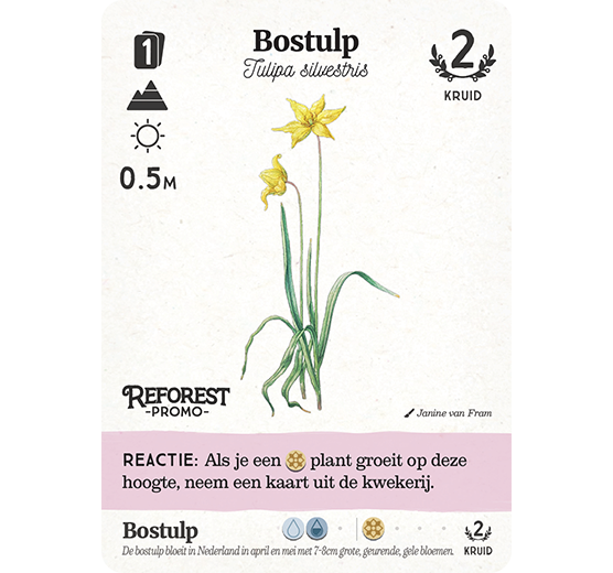 Reforest: Oerbos (incl. promo) - Kaartspel (NL)