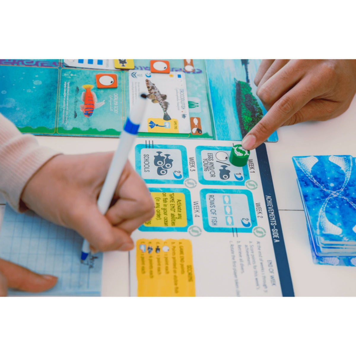 Finspan - Bordspel (NL)