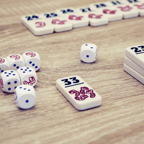 dobbelspellen-regenwormen (3)