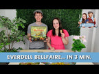 everdell-bellfaire-uitbreiding-video