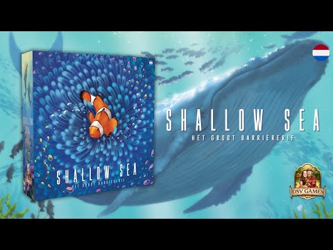 Shallow Sea - Bordspel (NL)